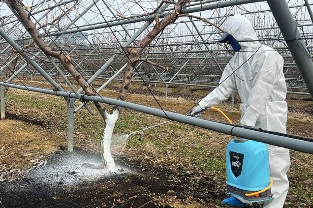 0b346567947325e6b7bb9f40eabeeb5f_1768352318_8326.png 0b346567947325e6b7bb9f40eabeeb5f_1768352318_8326.png